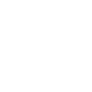 مقتنيات سلطان العويس